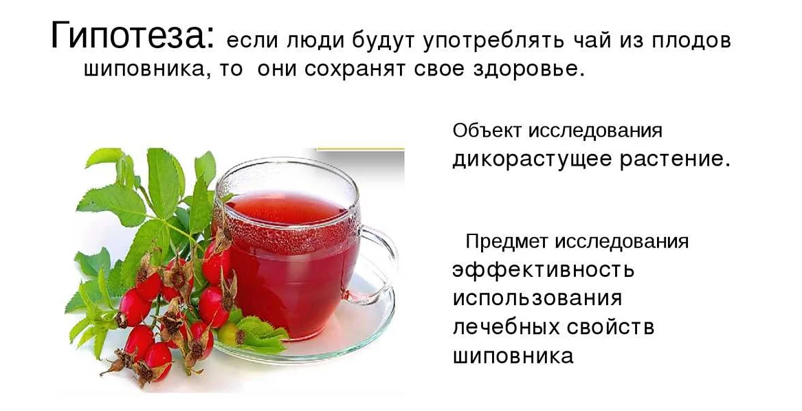 Неожиданное применение заварки от чая