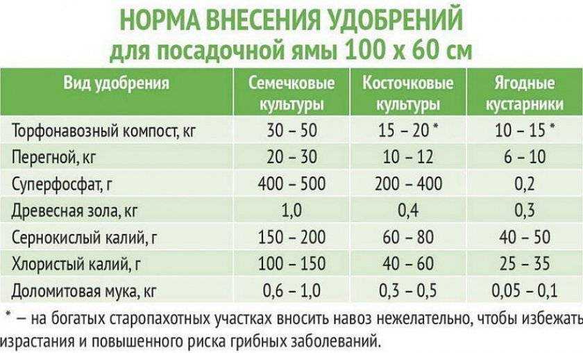Азотные удобрения в домашних условиях, как приготовить самому