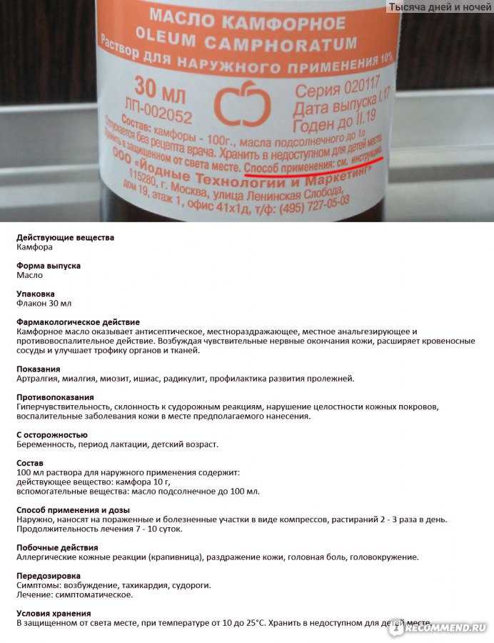 Камфорное масло: применение, свойства, из чего делают, польза