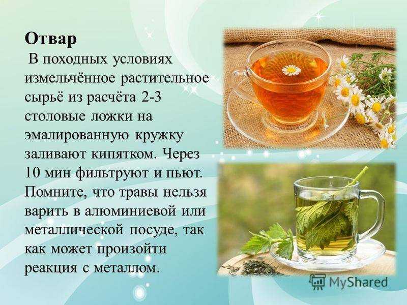 Лечебные свойства и противопоказания к применению ромашки аптечной, фото цветка
