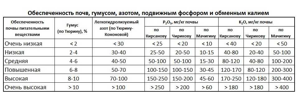 Правильно проведенное мульчирование помидор — залог хорошего урожая и экономия трудозатрат — фазенда