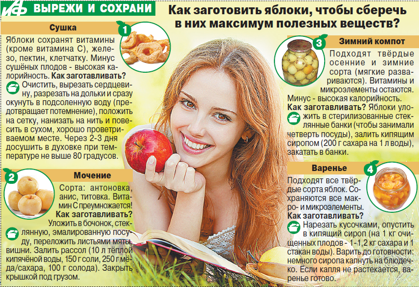 Как хранить сушеные яблоки в домашних условиях, чтобы не завелась моль