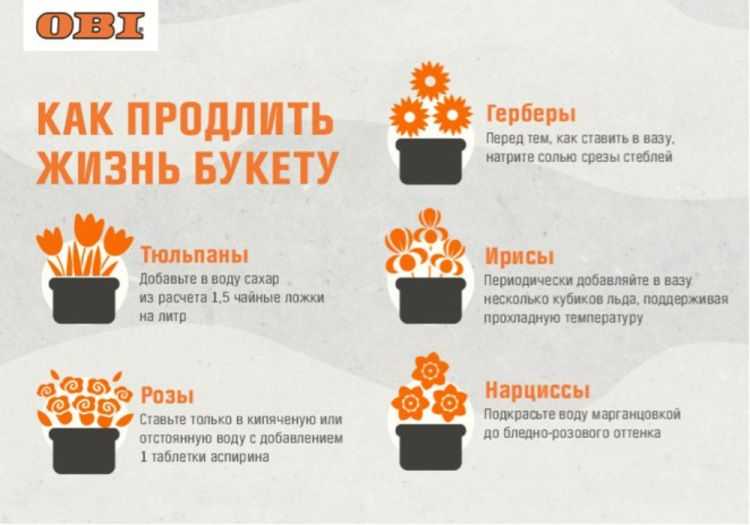 Чтобы розы стояли дольше нужно знать всего 5 действенных секретов