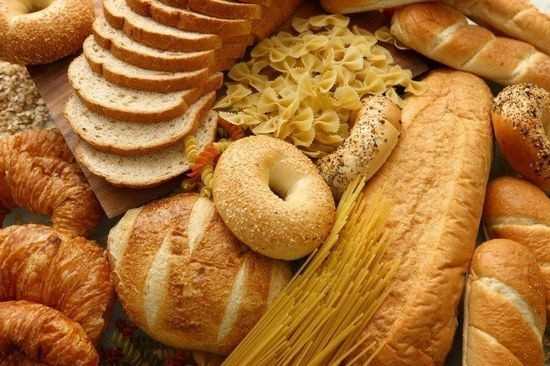 Плесневые грибы в пищевых продуктах. зачем тестировать на безопасность