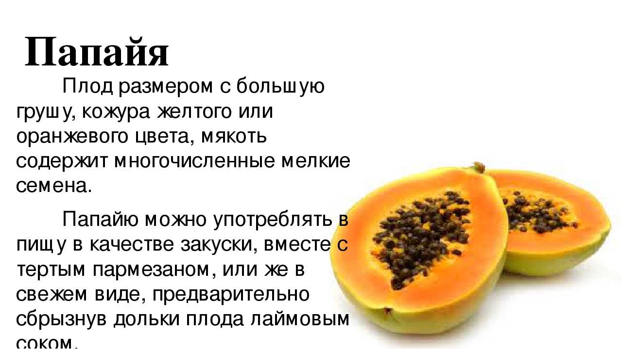 Папайя фрукт, польза и вред для организма, как кушать, выбрать и хранить