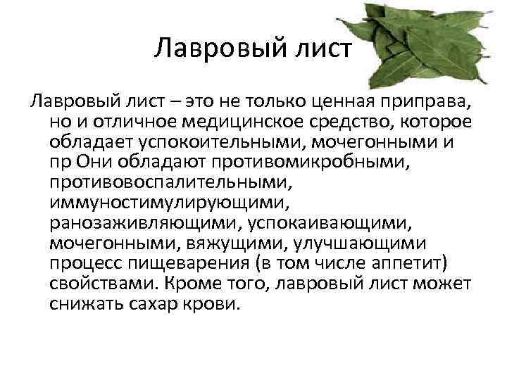 Лавровый лист польза и вред: применение в народной медицине