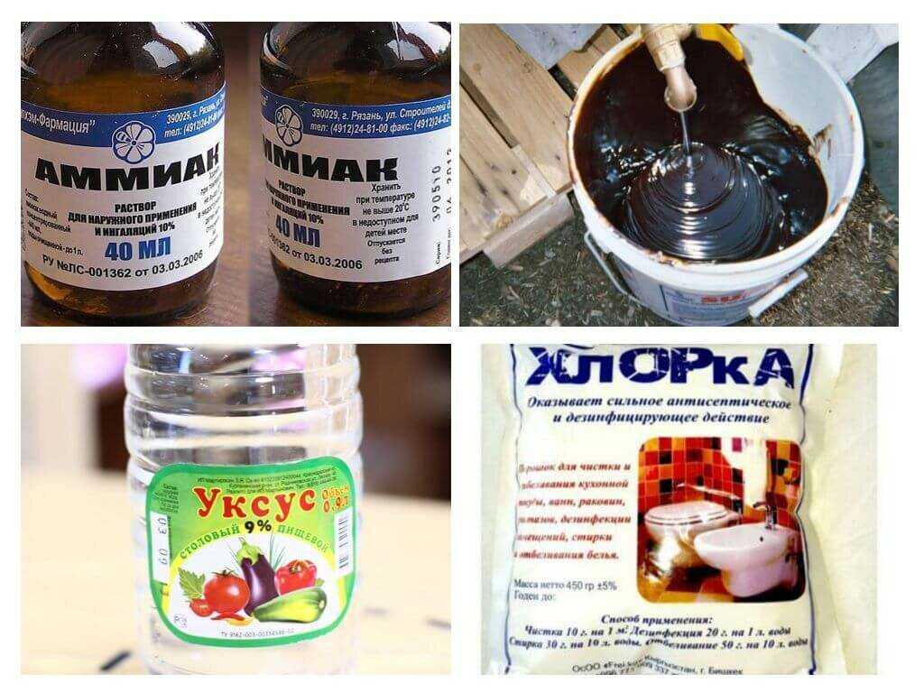 Чего боятся мыши в доме, какими народными средствами их отпугнуть?