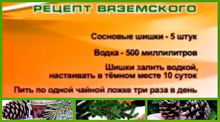 Варенье из сосновых шишек: польза и противопоказания продукта, рецепт приготовления