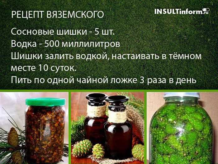 Польза сосновых шишек, рецепты их приготовления и применение при различных заболеваниях