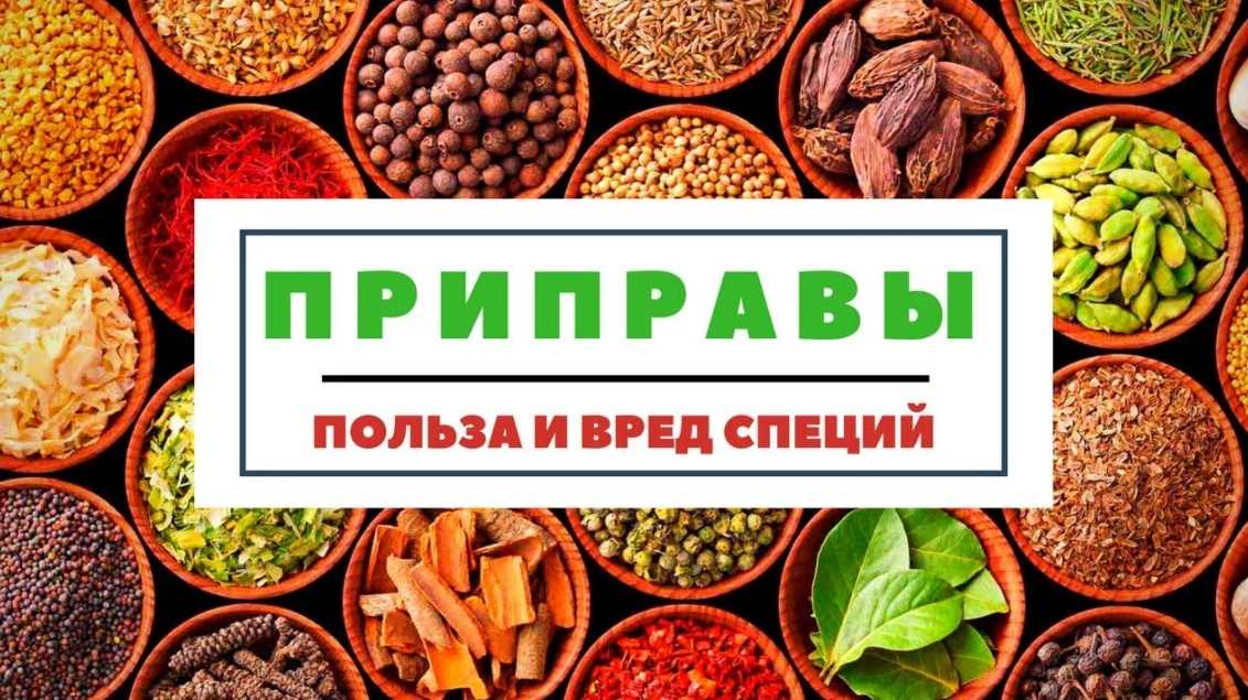 Гвоздика — 8 полезных свойств и противопоказания для организма, а также как принимать приправу