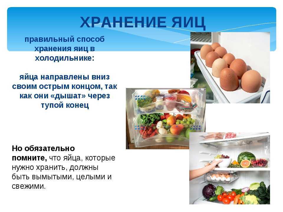 Как правильно хранить куриные яйца