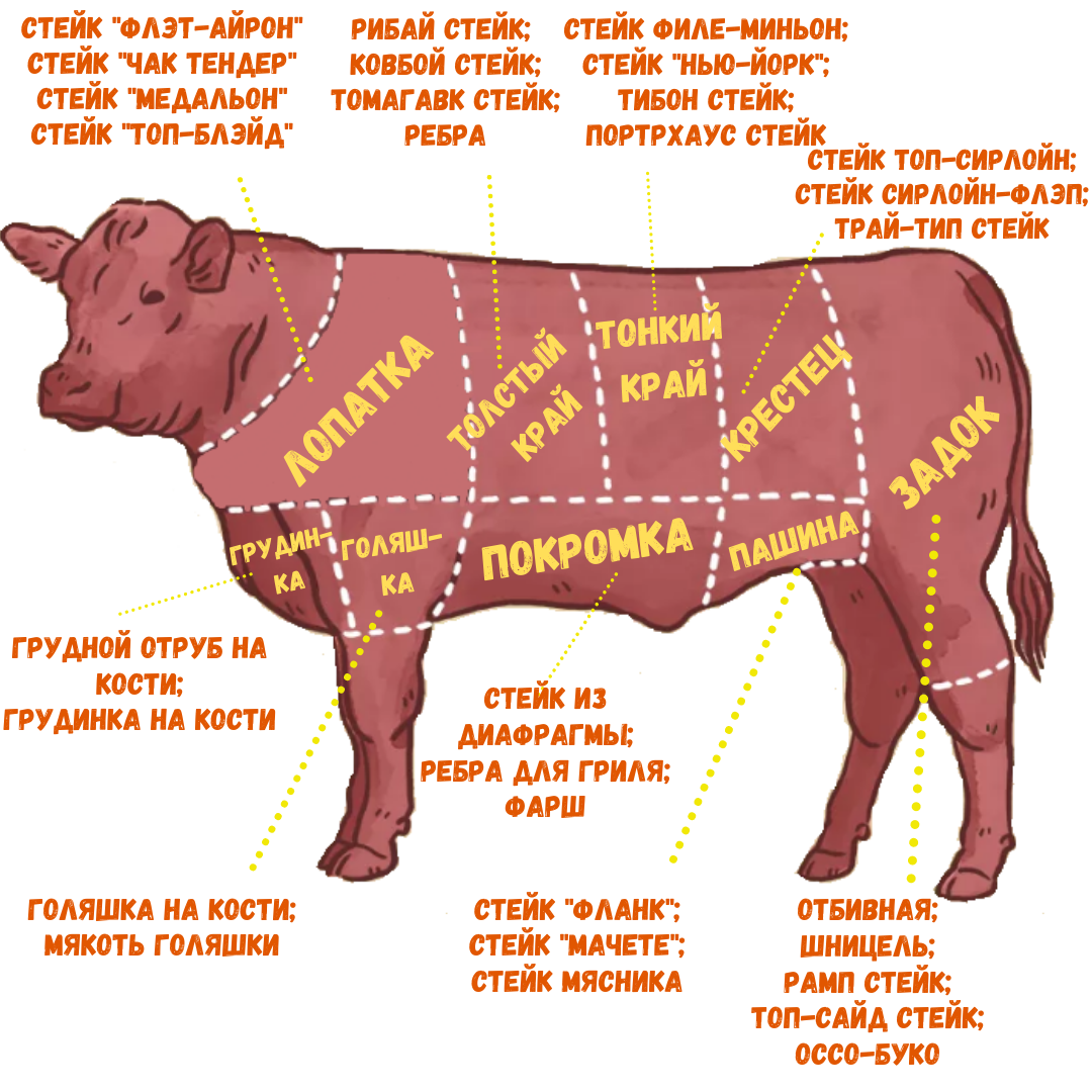 Мясо. говядина