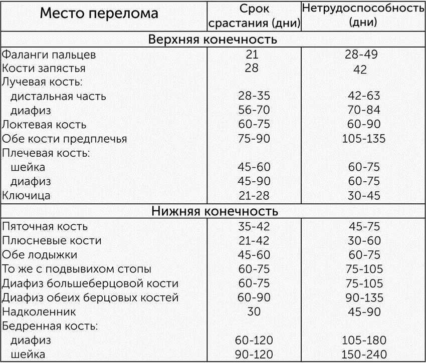 Как добыть струю бобра: пошаговая инструкция, способы и методы, советы опытных охотников
