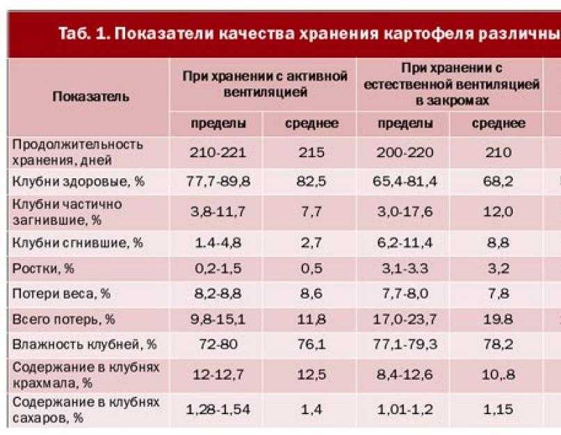 Как правильно хранить овощи, фрукты и ягоды в холодильнике