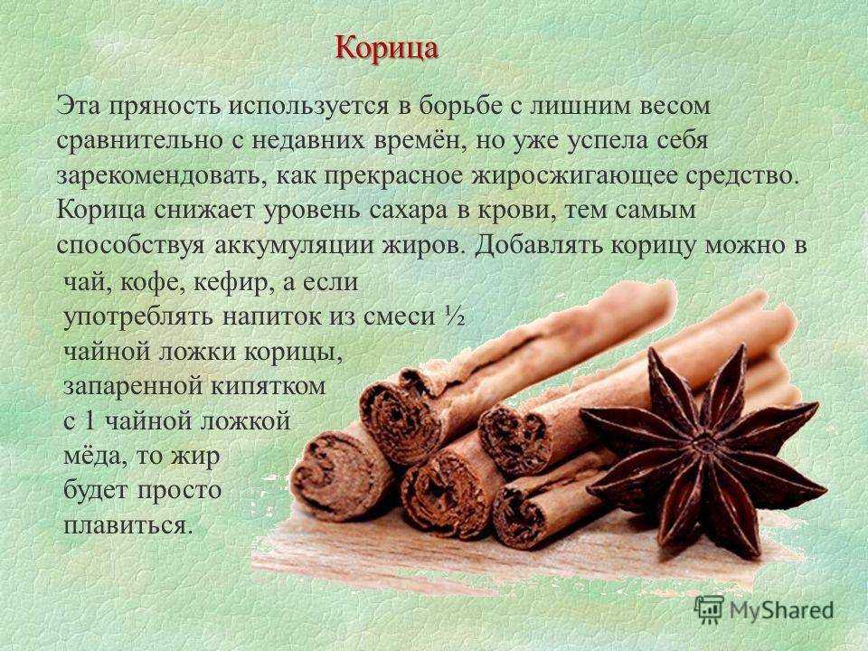 🍹 как использовать настоящую корицу в приготовлении самогона и настоек: рецепты на 3 литровую банку 🌿