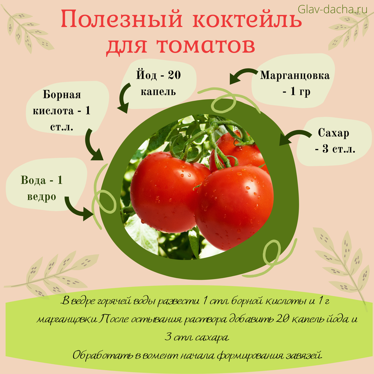 Как подкормить огурцы борной кислотой: рецепты питательных растворов и схемы применения