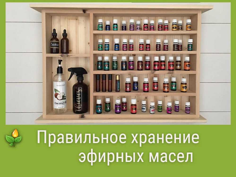 Масло жожоба: свойства и применение