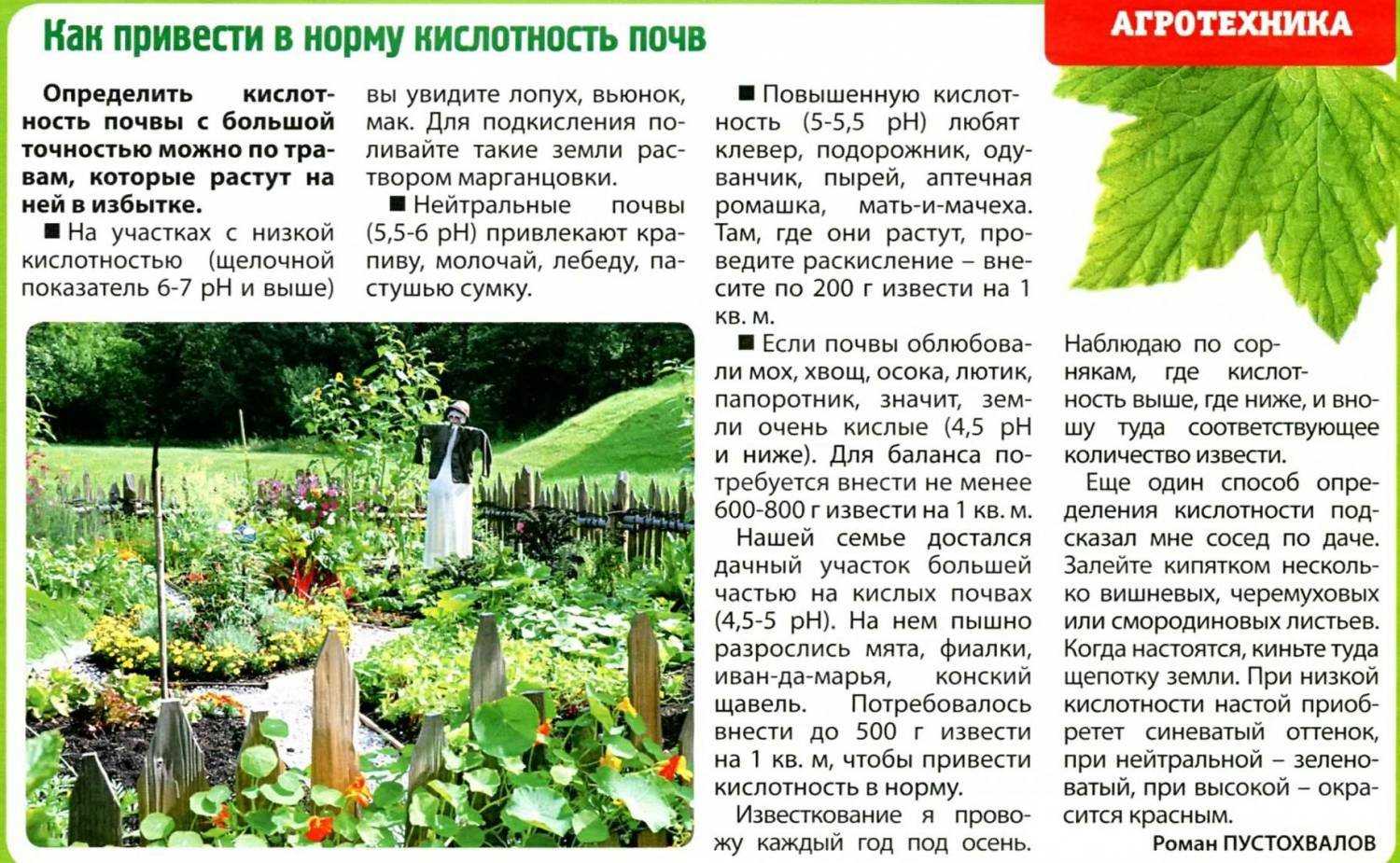 Особенности технического обслуживания триммера для травы