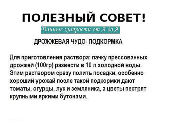 Применение эффективных микроорганизмов