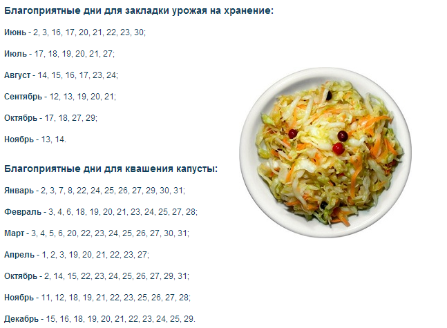 Благоприятные дни для закваски капусты на зиму в 2021 году: таблица