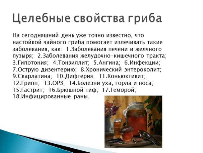 Как хранить чайный гриб, если нужен перерыв: общие правила хранения
