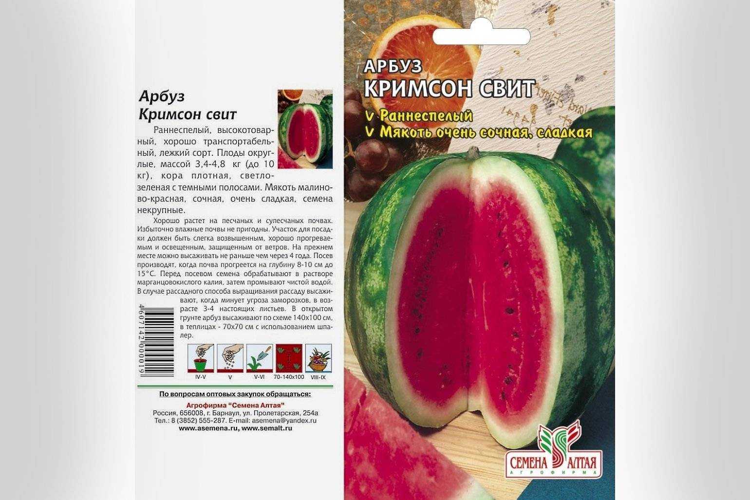 Как отличить астраханский арбуз от узбекского. сорта арбузов выращиваемые в астраханской области. как определить спелость ягоды