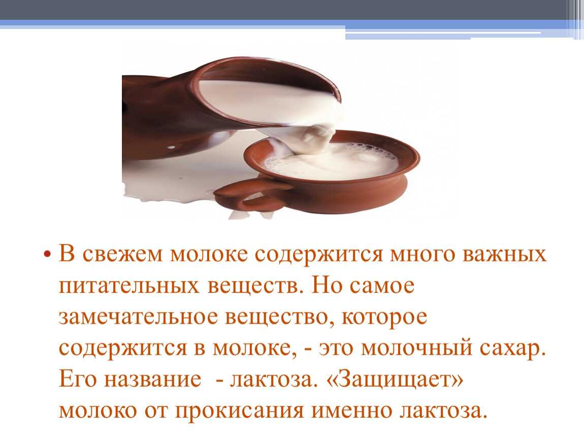 Почему скисает молоко, что делают молочнокислые бактерии и как предотвратить скисание молока + несколько полезных советов