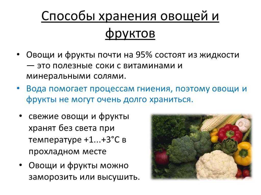 Как сохранить свежие огурцы в домашних условиях после сбора, температура и условия хранения овощей