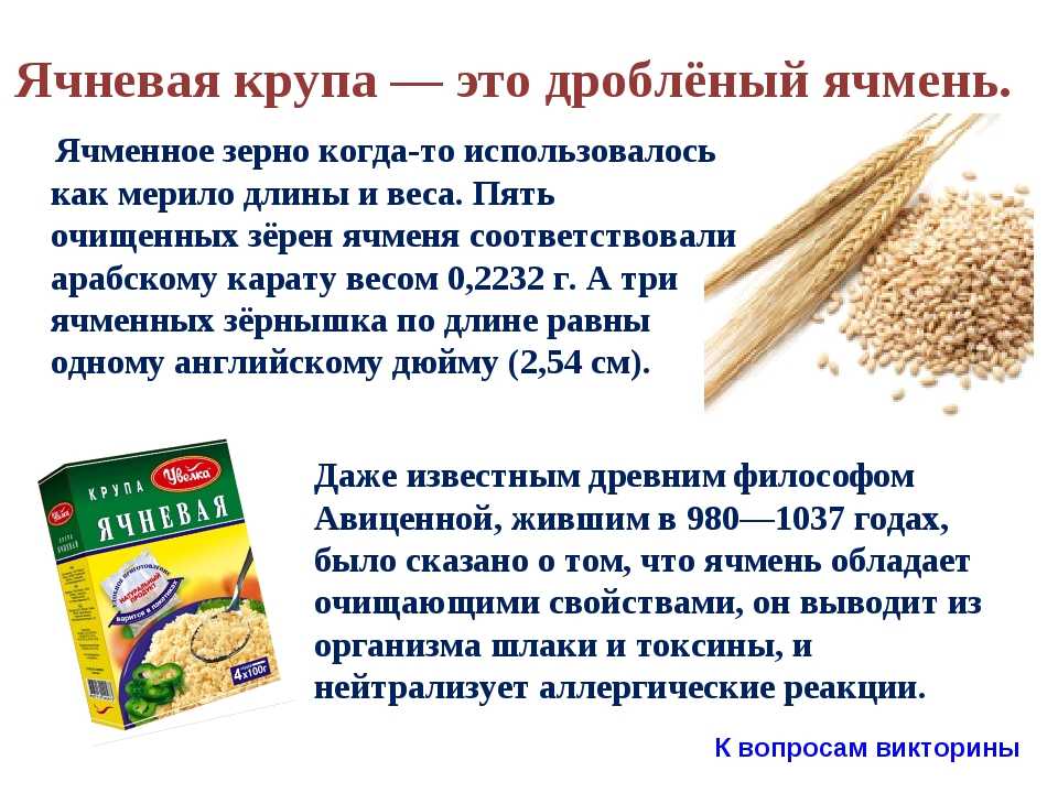 Ячневая крупа: из какого злака, польза и вред и как варить?