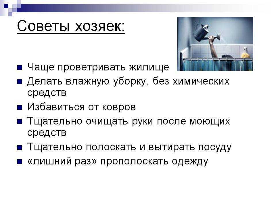 Как часто нужно всё мыть и стирать дома с точки зрения науки