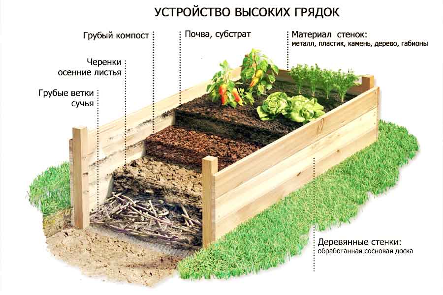 Компост создается из пищевых и растительных отходов Созревает субстрат 2 года и более Садоводы нашли 5 способов, чтобы ускорить процесс