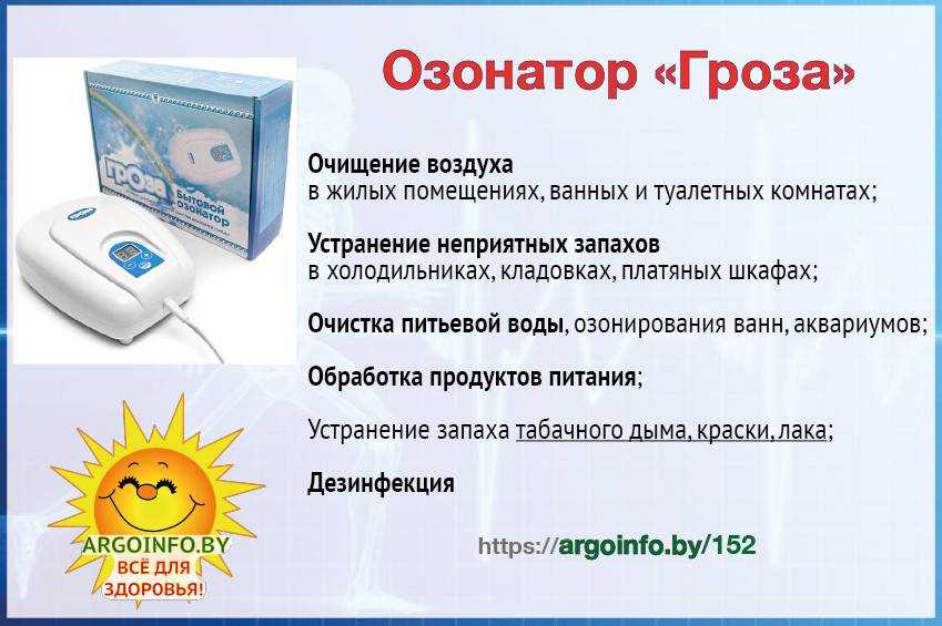 Что такое ионизатор воздуха для дома и квартиры, принцип работы такого прибора