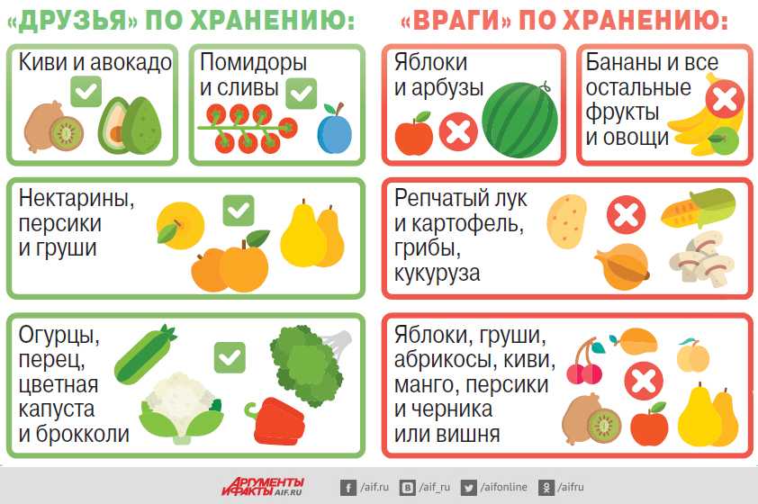 Хранение ягод: правила, условия, сроки - сельхозобзор.ру