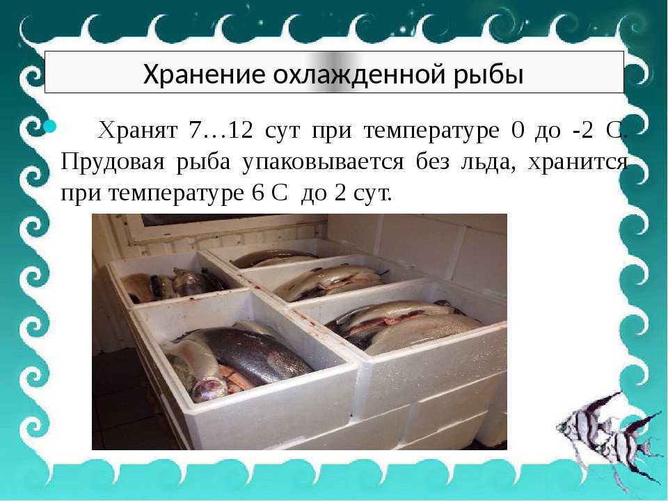 Сроки хранения замороженных продуктов