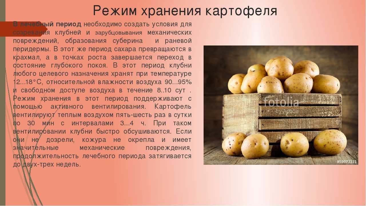 Как хранить кондитерские изделия с кремом