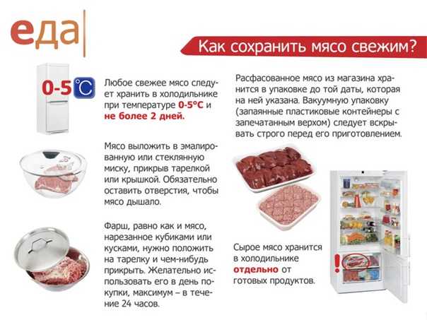 Сколько можно хранить в холодильнике свежее мясо: какие особенности и условия
