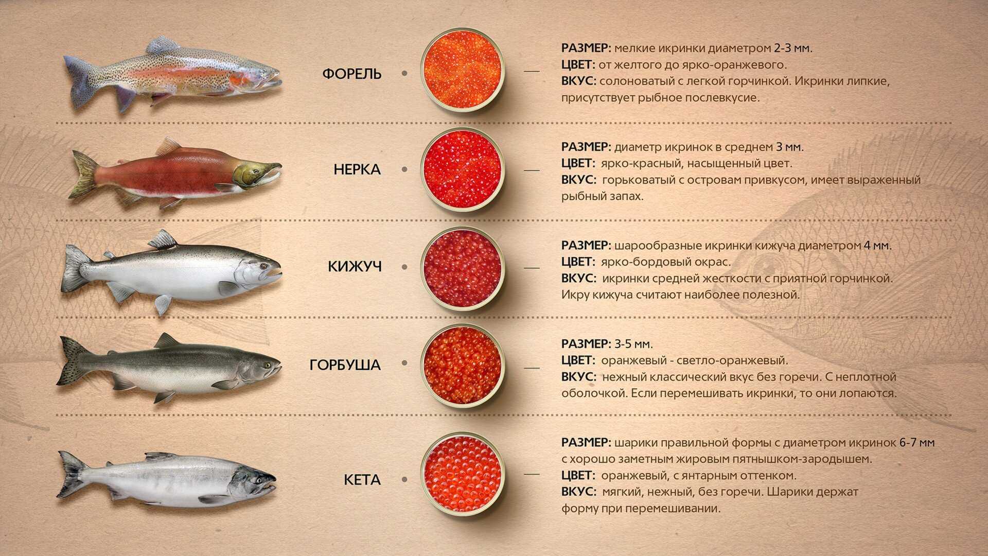 Сколько вымораживать рыбу перед засолкой