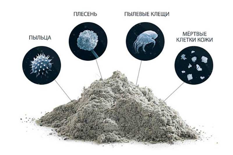 Откуда берется пыль в квартире и как от нее избавиться?