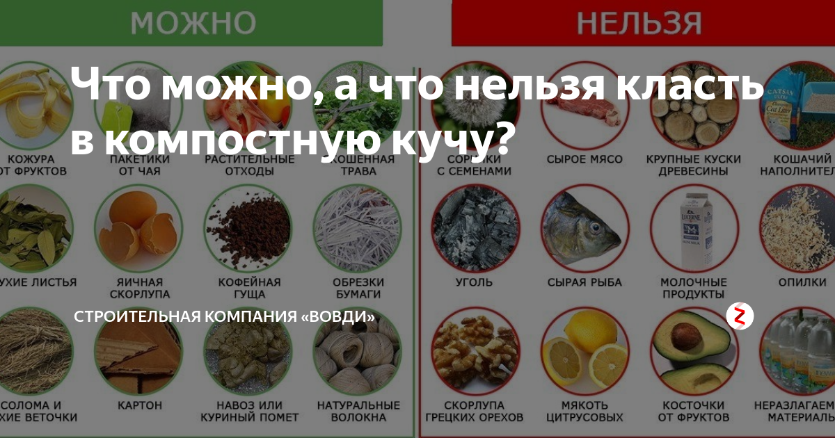 Чтобы получить качественное органическое удобрение для подкормки садовых и огородных культур, важно знать, что можно и нельзя закладывать в компостную яму