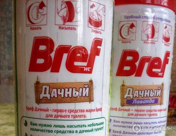 Туалетная муха: химические, народные средства борьбы
