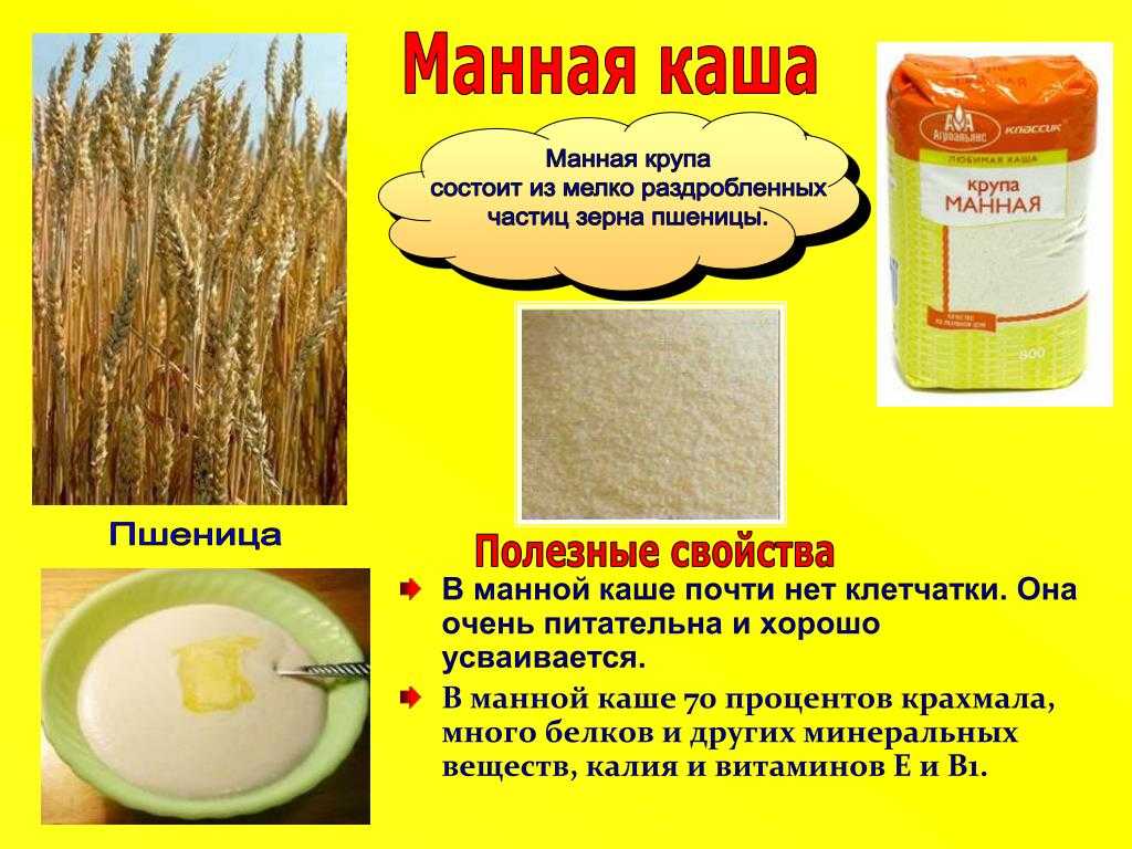 Из чего делают манную крупу Польза каши, интересные факты и топ блюд с ее применением