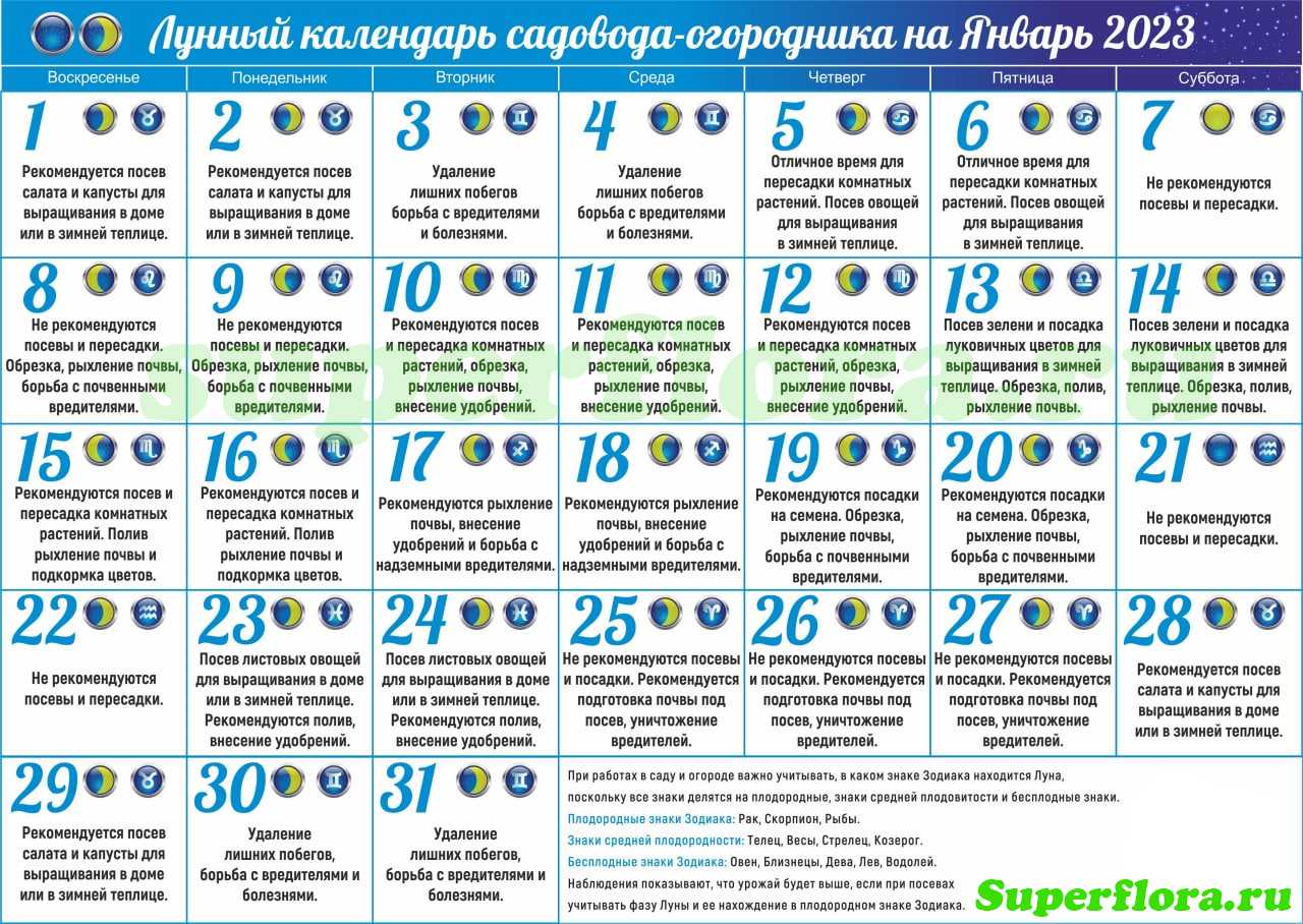 Когда солить капусту: народные приметы
