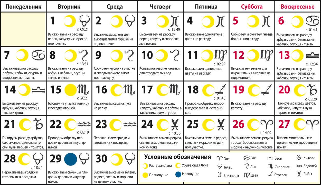 Когда «сопливая» неделя для капусты в 2020 году, ориентируются по церковному празднику покрова