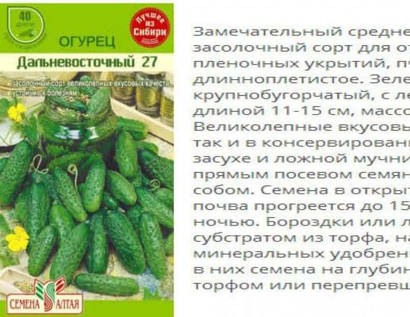 Лучшие сорта огурцов для засолки и консервирования фото и описание
