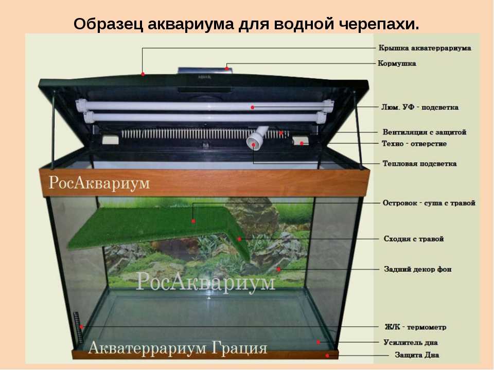 Уход за аквариумным фильтром: очистка и правильное мытье