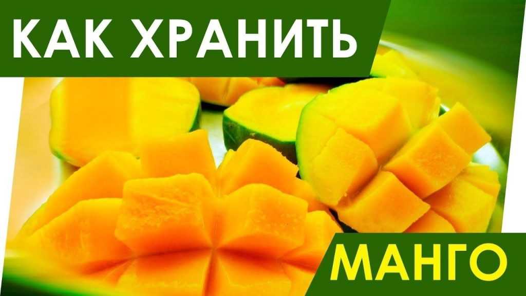 Как хранить манго в домашних условиях, чтобы не испортился: популярные способы хранения