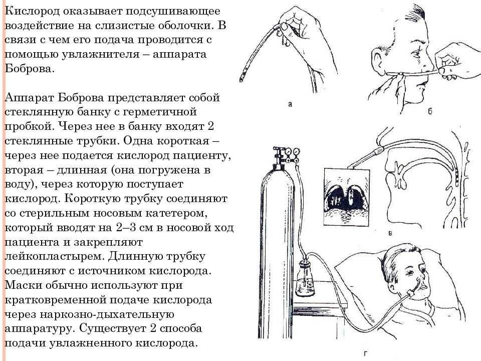 Как и где хранить бобровую струю?