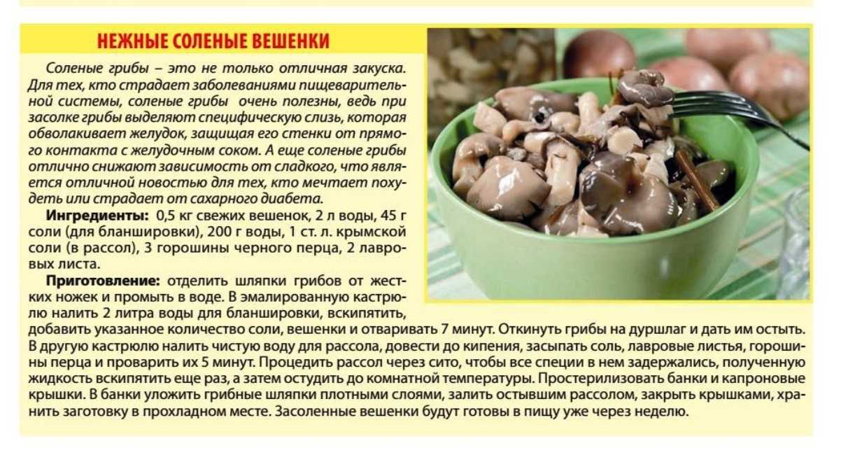 Как варить сушёные грибы - сколько варить перед жаркой и до готовности?