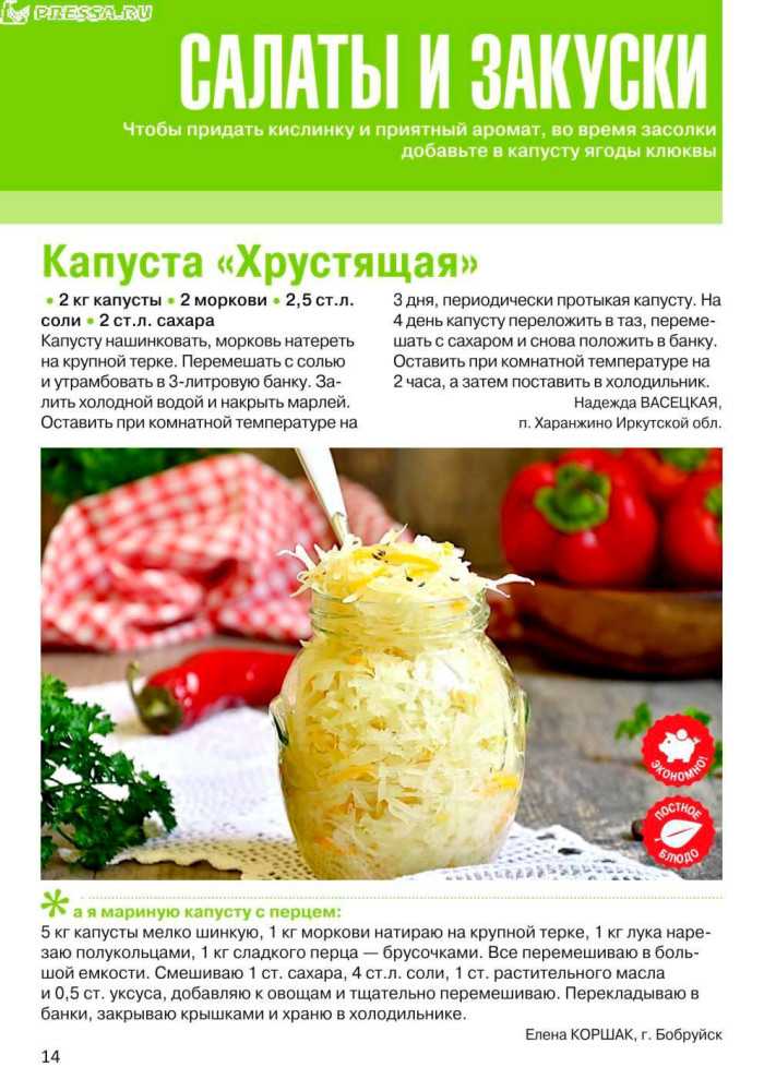 Календарь засолки и квашения капусты: благоприятные дни для засолки капусты, лунный календарь квашения капусты