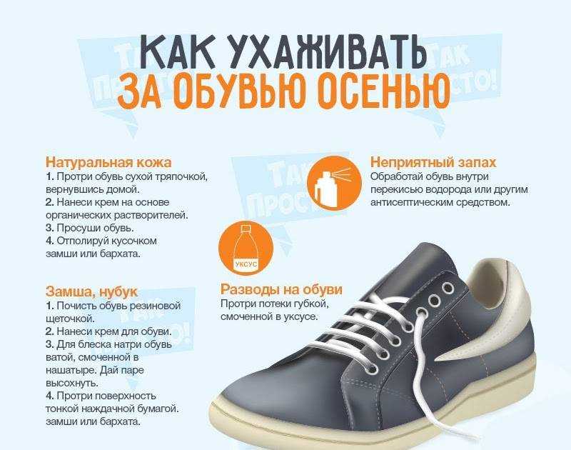 Искусственная кожа: правильный уход за обувью из кожзаменителя, как защитить